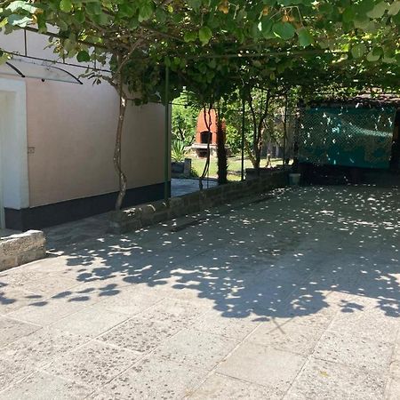 Apartmán Apartma Mari Lucija Exteriér fotografie