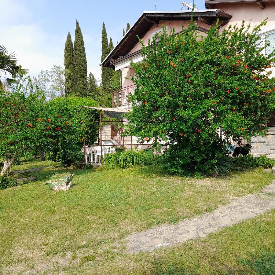 Apartmán Apartma Mari Lucija Exteriér fotografie